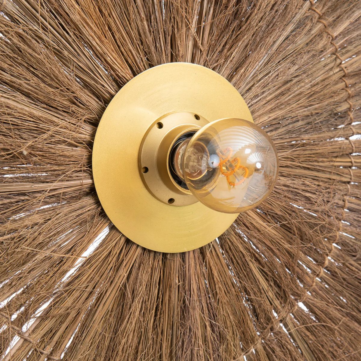 gouden messing wandlamp met zeegras close-up